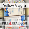 Yellow Viagra kamagra1